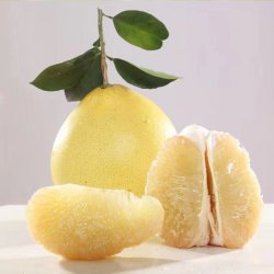 Share Pomelozzini pose med 20